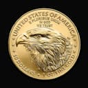 1 oz American Gold Eagle coin reverse — bald eagle family design