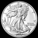 1 oz American Silver Eagle coin obverse — Walking Liberty design