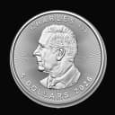 Canadian Silver Maple Leaf coin reverse — maple leaf design