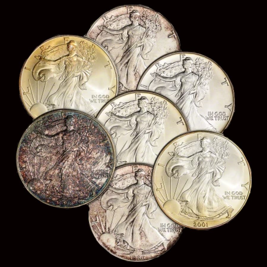 Cull 1 oz American Silver Eagles showing toning and surface damage