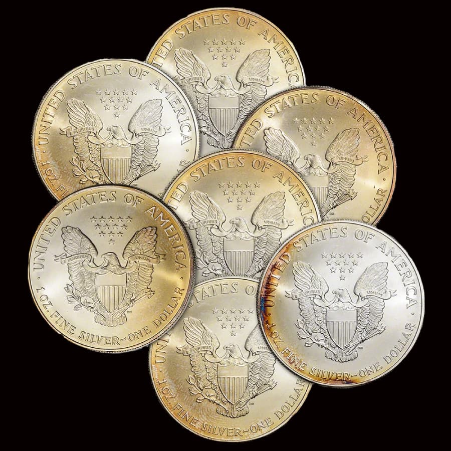 Cull 1 oz American Silver Eagles showing toning and surface damage (reverse)